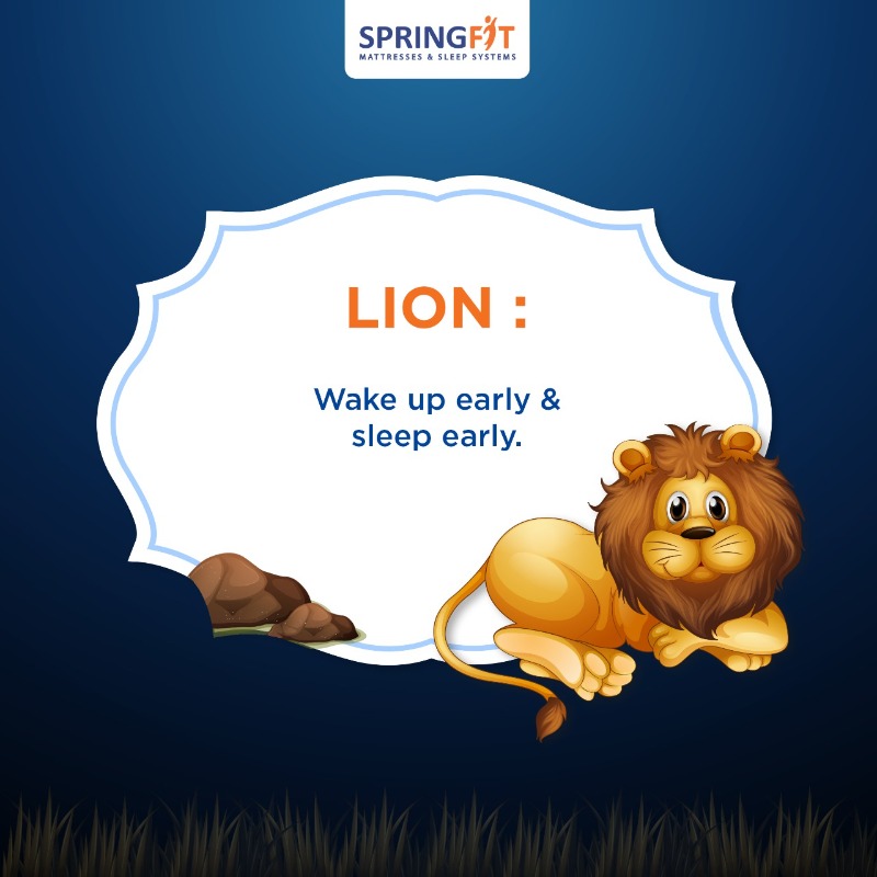 SpringfitSleep's tweet photo. Which sleep animal are you?
To know more, visit https://t.co/91bHSgUb4K.
#Sleepfitstayfit #highoncomfort #springfit #6hoursofsleep #allaboutsleep #sleep #Certiguard #sleepsafe #sleephealthy #worldsleepday #sleepmonth #interactivepost #quiz #sleepanimal