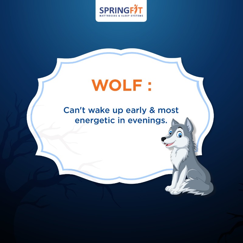 SpringfitSleep's tweet photo. Which sleep animal are you?
To know more, visit https://t.co/91bHSgUb4K.
#Sleepfitstayfit #highoncomfort #springfit #6hoursofsleep #allaboutsleep #sleep #Certiguard #sleepsafe #sleephealthy #worldsleepday #sleepmonth #interactivepost #quiz #sleepanimal