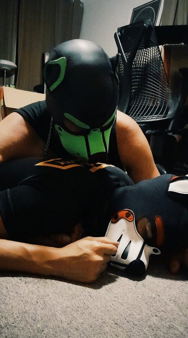 Puppy pile! (feat. @dcman666 ) #bdsm #kink #fetish #pupplay #petplay #puppyplay https://t.co/zBzeSDK