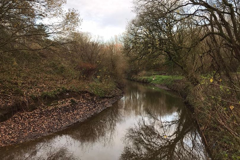todhamer's tweet photo. Good to renovate existing green spaces but this won't really improve air quality, neither will excessive land banking or development. @SirRichardLeese could line busy roads with pollution absorbing trees- especially near school streets. #CleanAir4GM #treesnotcars https://t.co/BzpZo2Cly0