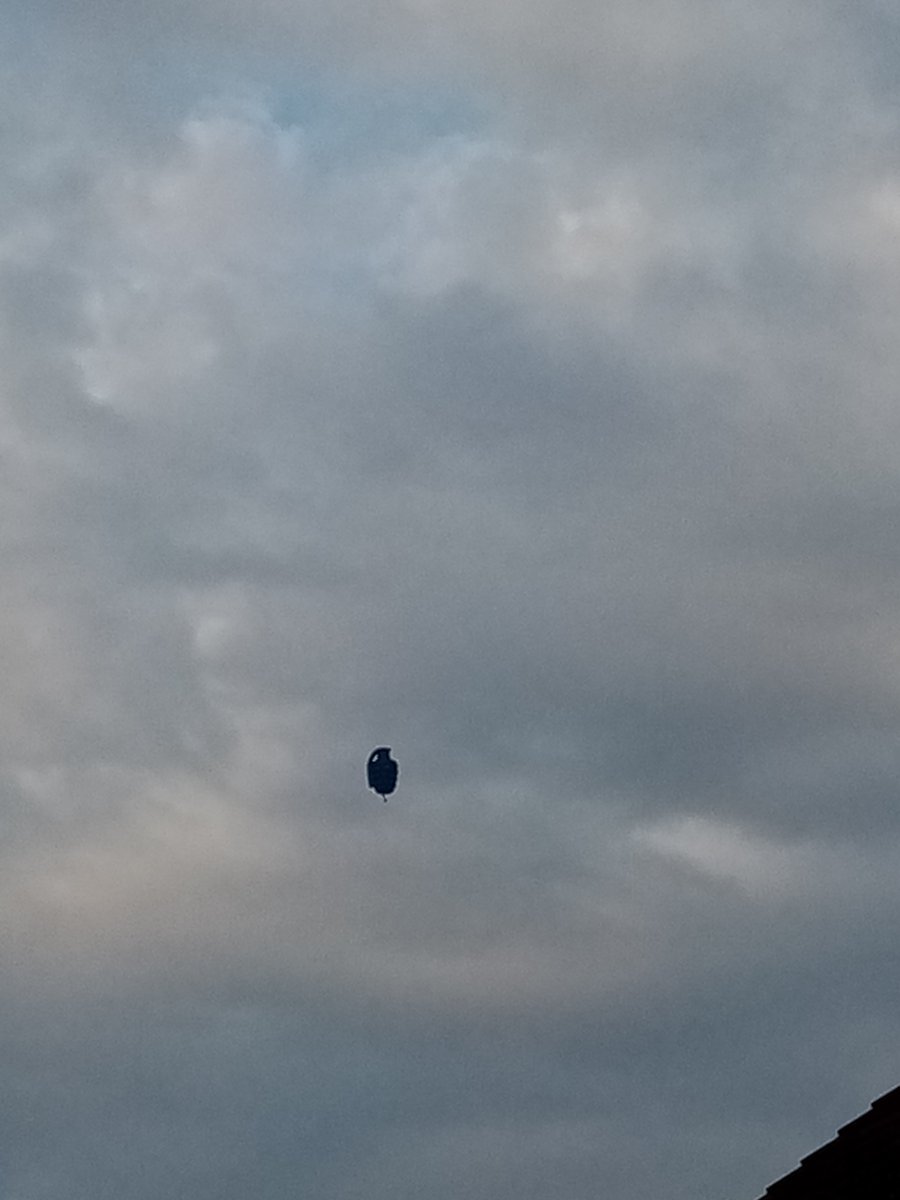 Greatest Hits Radio South Coast News tweet media