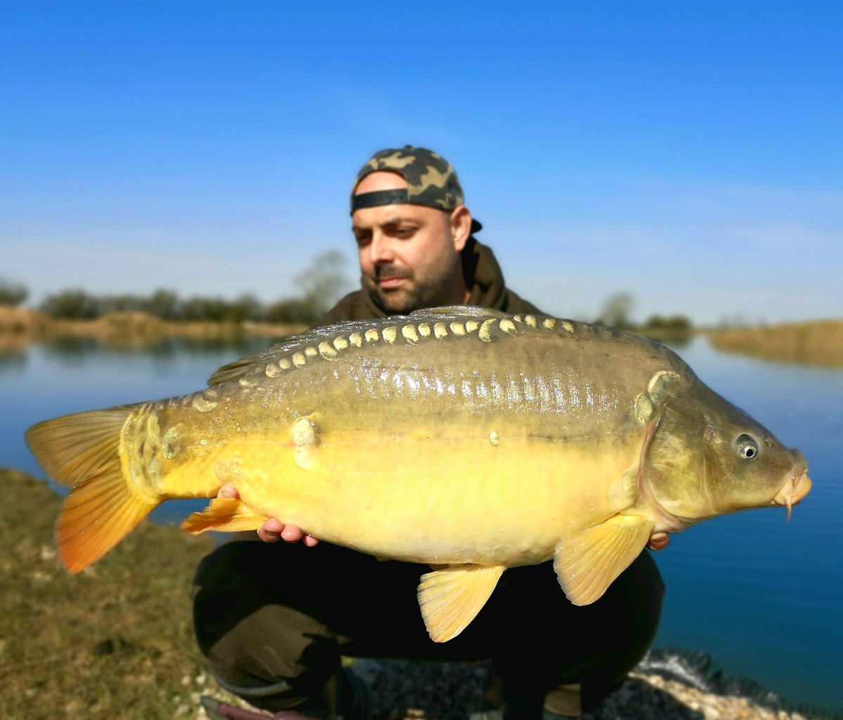 Red letter day for me banking 7 fish in 8 hours! <a href="/EvoCarpTackle/">EvolutionCarpTackle</a> <a href="/BMGTackle/">BMG Tackle</a> <a href="/NorthEastBaits/">North East Baits</a>