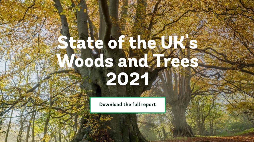 #Senedd21 Read the full report here ➡️ woodlandtrust.org.uk/state-of-uk-wo…