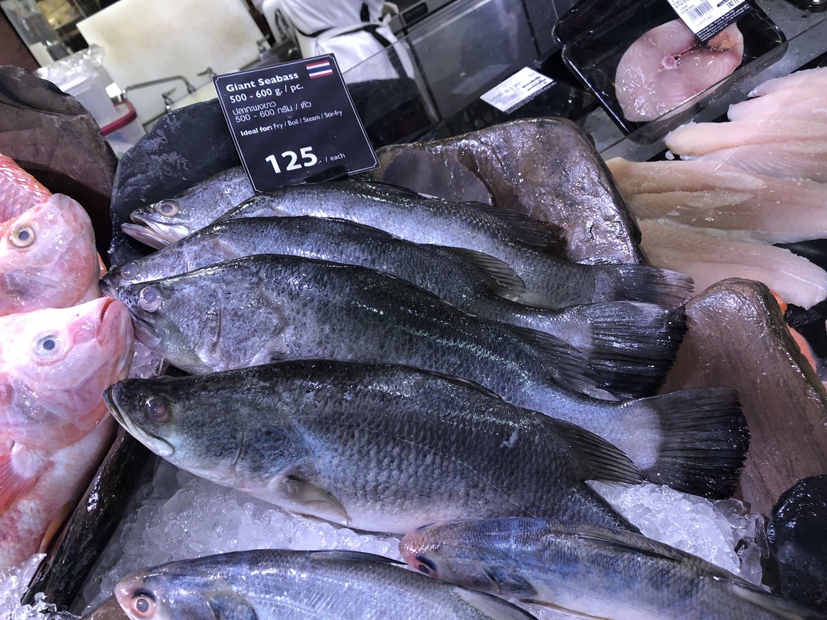 ゆなちゃん タイでバラマンディ育てる人 Yunaaquarium Twitter