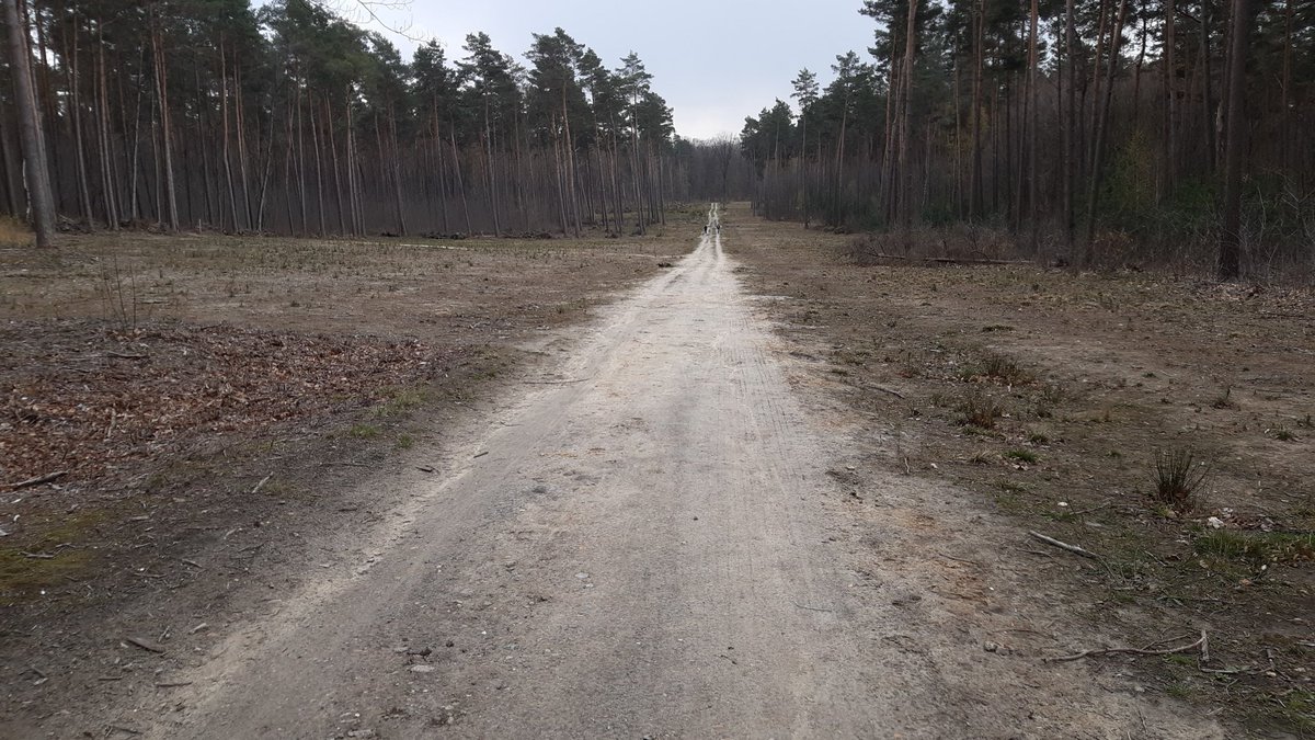 Dit is de toestand vd schandvlek 1 alias #filosofendreef bij KB beschermd landschap notabene!!!!
Na 2 jaar nog steeds een woestenij!