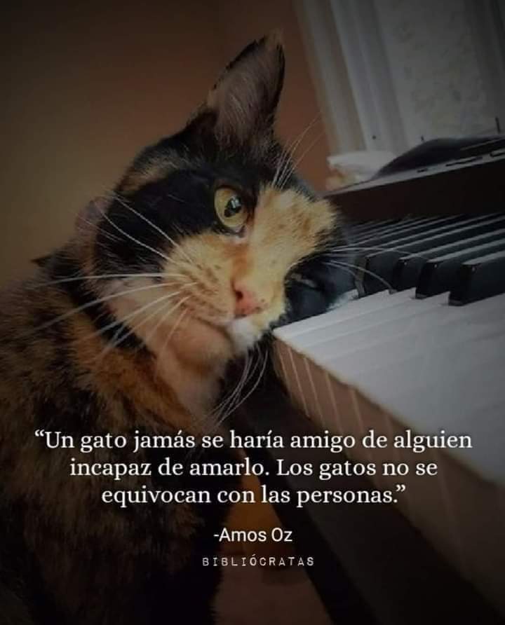 Lola Mariné on Twitter: Lola Mariné on Twitter: