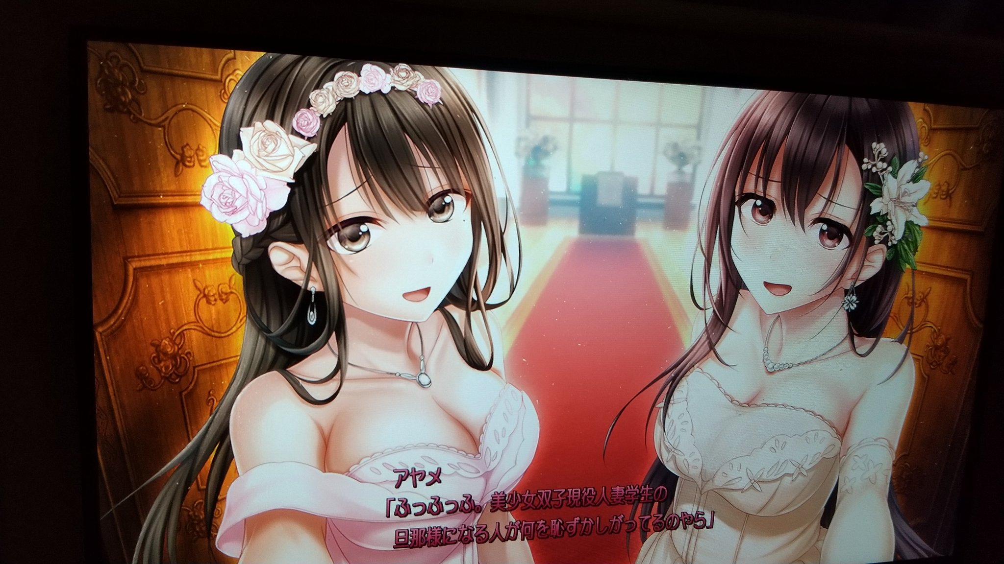 アイキス アイキス2 アイキス3 セット switch