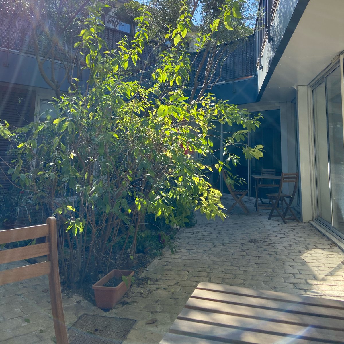 Un après-midi ensoleillé dans le patio du Coworking 😎🥰