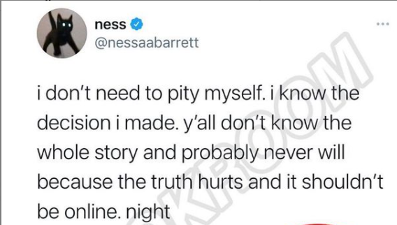 Naavya8's tweet photo. tweets from people regarding the nessa and jaden drama https://t.co/a5H223Sz30
