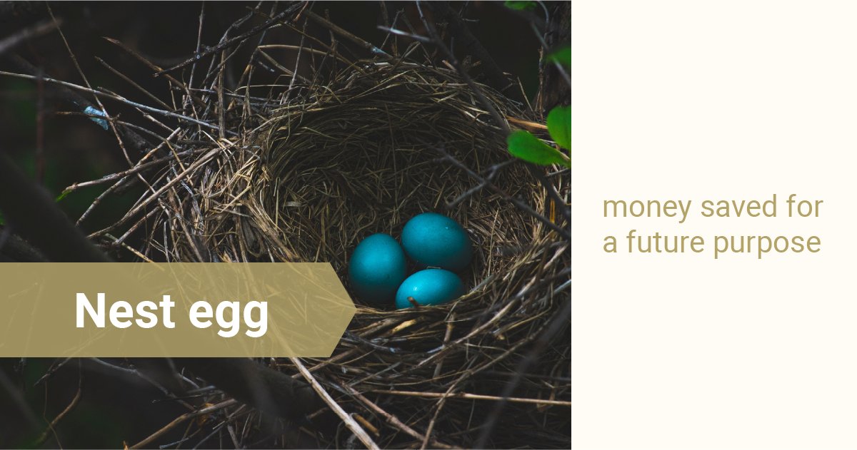 Weird English Wednesday 

A 'nest egg' can be used to refer to money saved for a future purpose.  

esl.gatech.edu