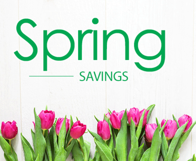 WorldToyotaATL's tweet photo. Don't miss Spring Savings! 
Date: Sat, April 17th
Service Time: 7am-5pm
Set An Appointments: https://t.co/PW9eKo0sIz?

Oil &amp; Filter Change $14.95 (Conventional) $24.95 (Synthetic)
Alignment Service $69.95
Buy 3 Tires, Get 4th Free
20% Off Any Brake Repairs

Restrictions may apply https://t.co/ZD4uAxoBLH