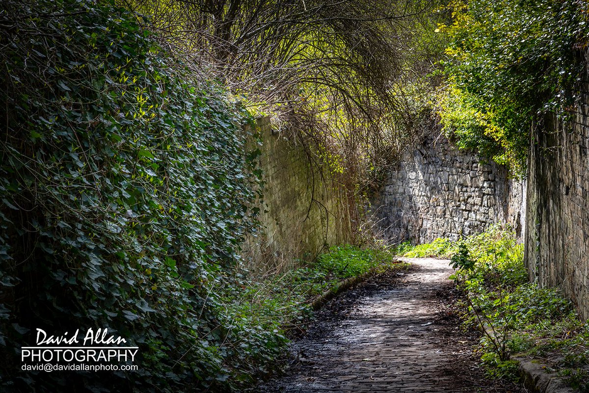 Explored this almost forgotten historic alleyway on the north bank of the River Wear near Wearmouth Bridge for the first time this week – what a gem... @RiversideSund @SunderlandUK @NorthEastTweets @ExploringNEUK @HistoricEngland @visitneengland