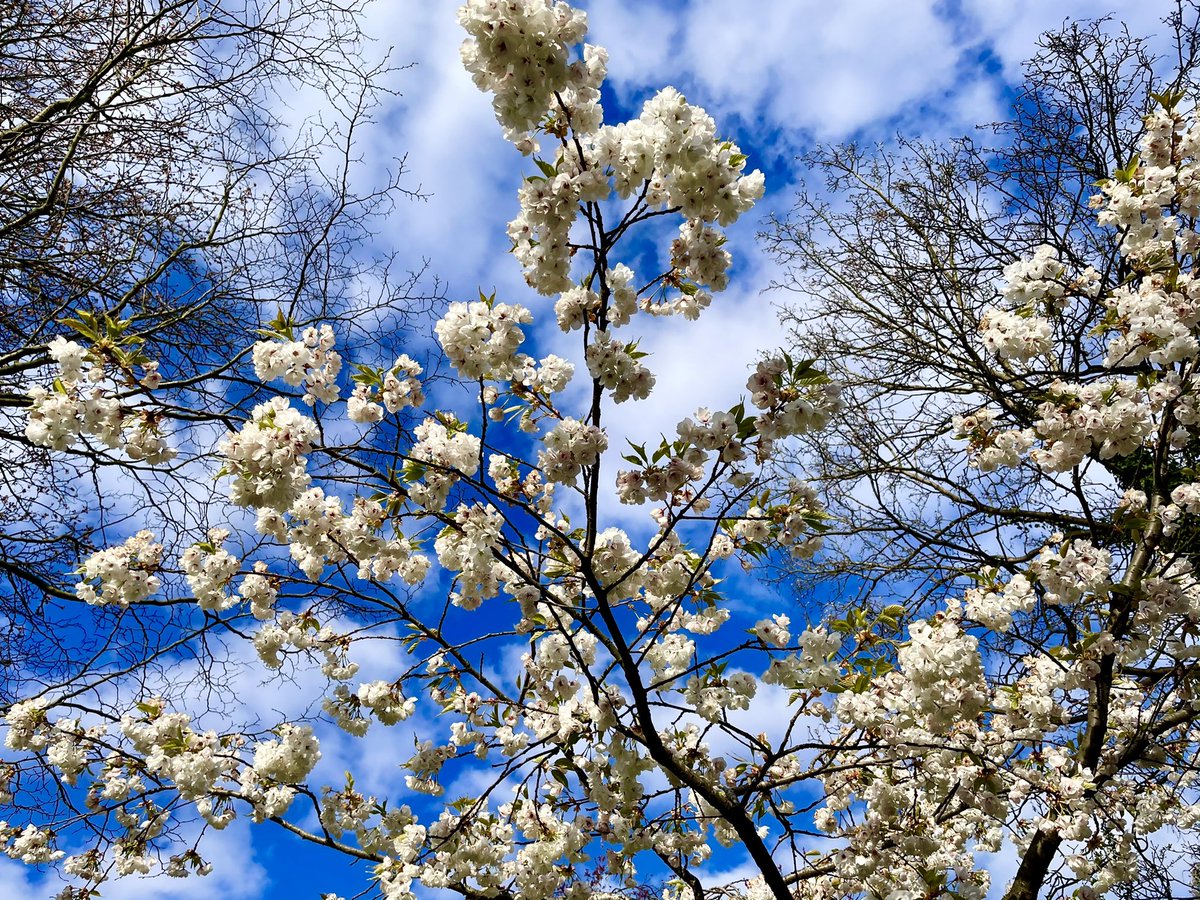 Dr Jess Wade liked it here once tweet media