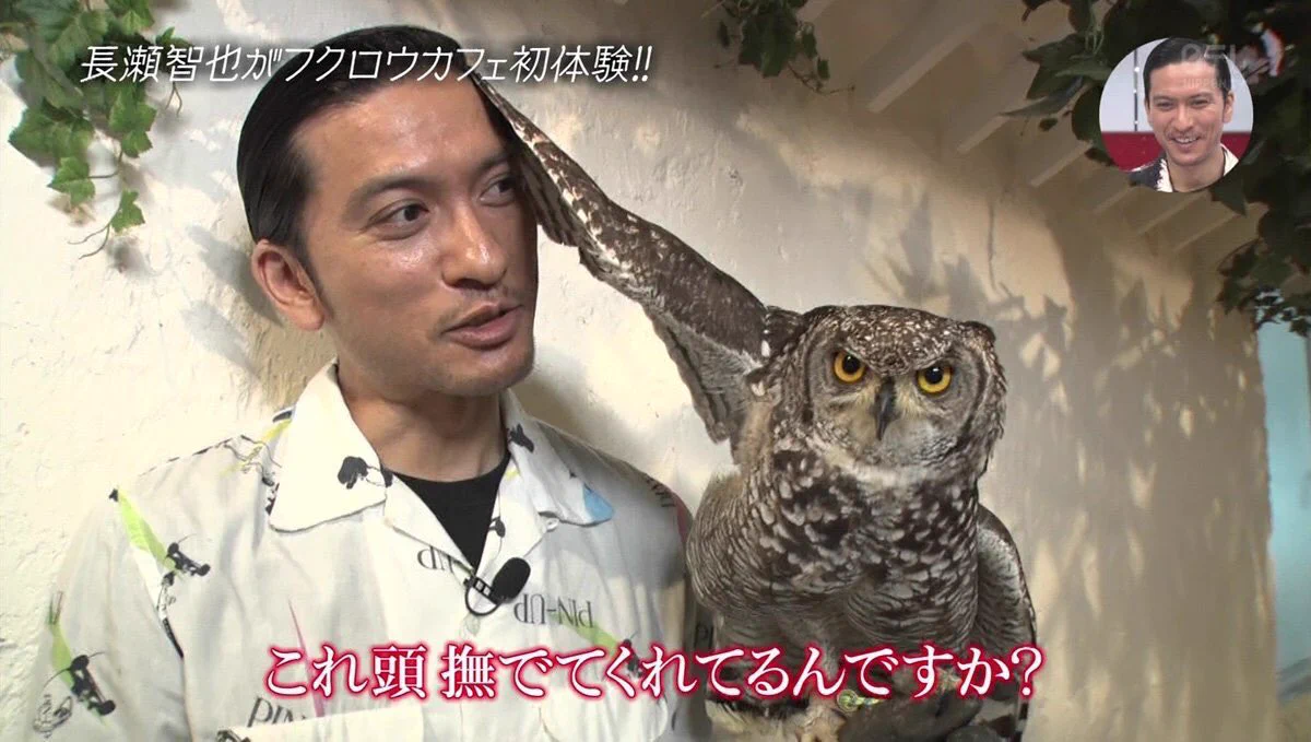 おしゃれイズムに登場した長瀬智也さんに注目！フクロウに好かれた姿が面白すぎる！！