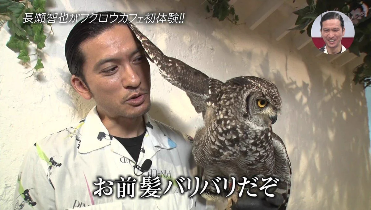 おしゃれイズムに登場した長瀬智也さんに注目！フクロウに好かれた姿が面白すぎる！！