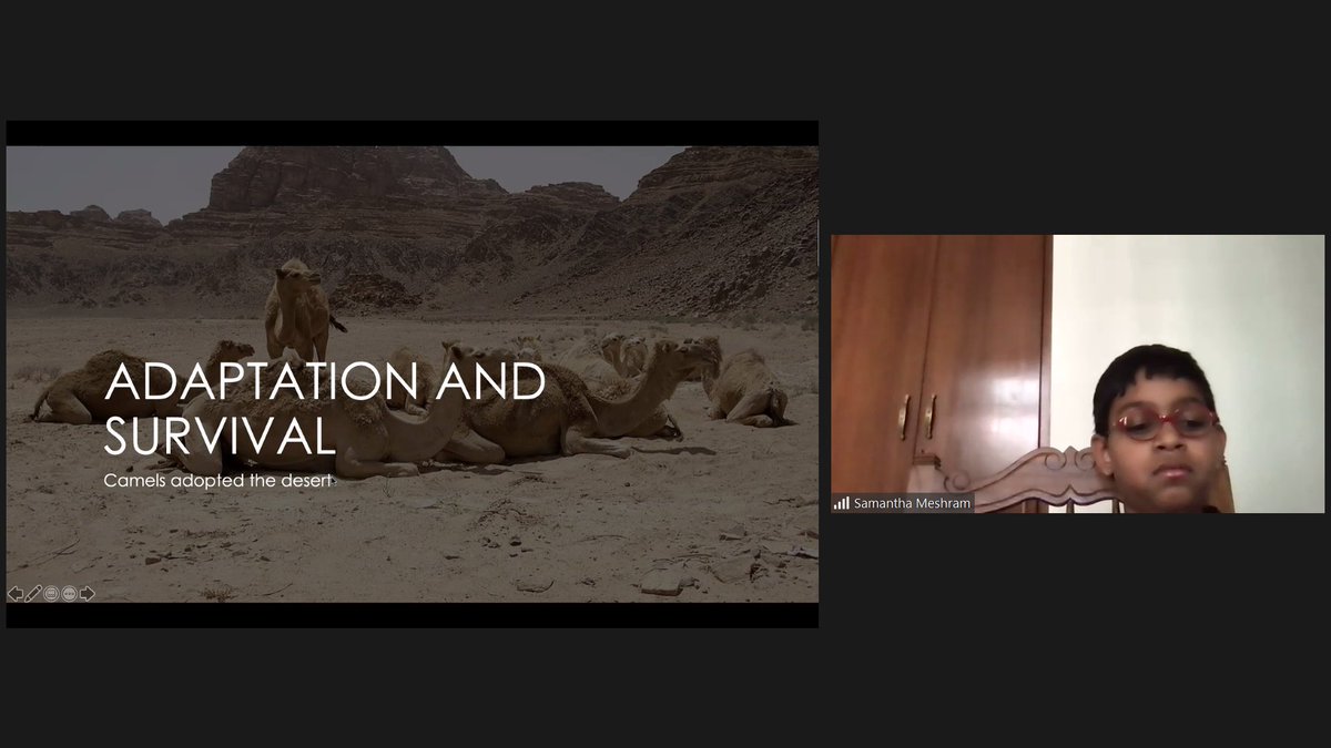 PreetiJaiswal_'s tweet photo. SS thought #creatively and #expressed their ideas during a #showandtell. #Connection with #desert #animals and their #adaptation #viewingandpresenting
@shutterbugpari @Aruna270767 @vandysays https://t.co/oNy9EfyGZV