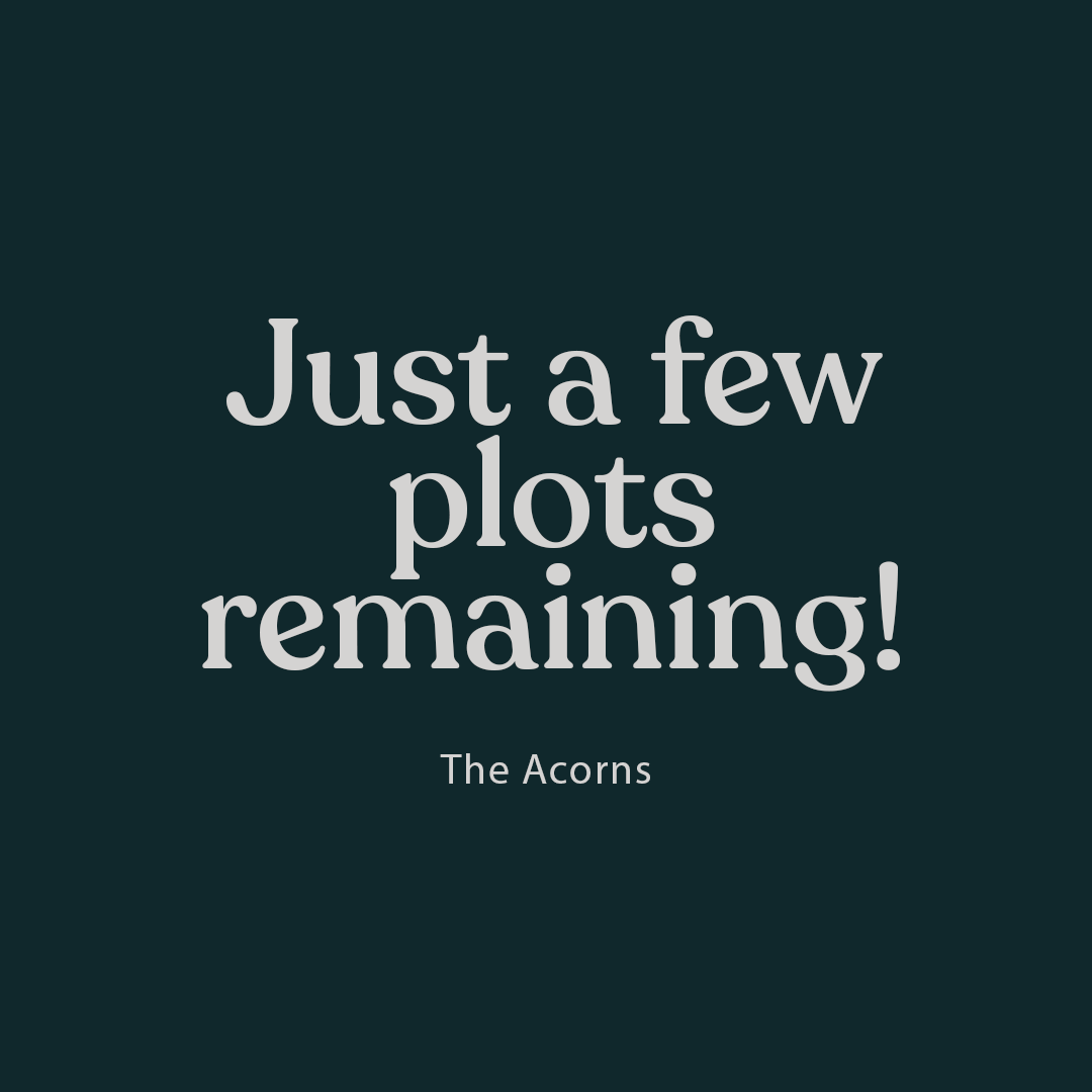 _TheAcorns's tweet photo. Take that next step &amp; join The Acorns community 🏡

We have just a few plots remaining, follow the link below to explore the remaining house types 🔗

https://t.co/d1MKFZPkOT https://t.co/az5aMcipAm