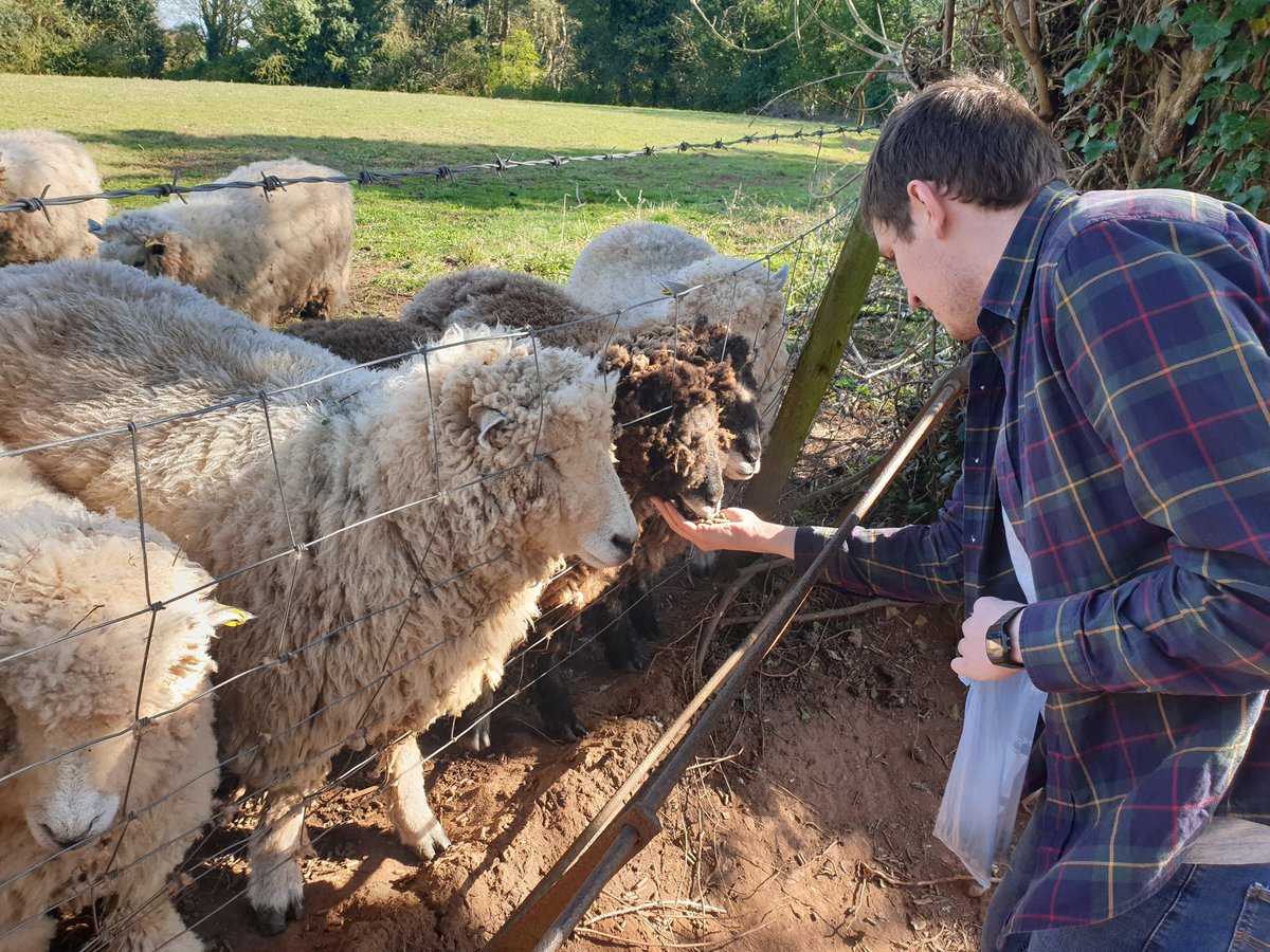 oakleatrust's tweet photo. 🐑Have u "Herd"🤔News just "gathered" in from our top PT shepherd and Oaklea Support employee Grant "Laal G" Huck who took Jack to Abbotswood Nature Trail, Barrow to support St.Marys Hospice.Great example of Oaklea "Working Behaviours"
#kindness #KindCumbria #Barrow #carers https://t.co/QWmqVrtGkU