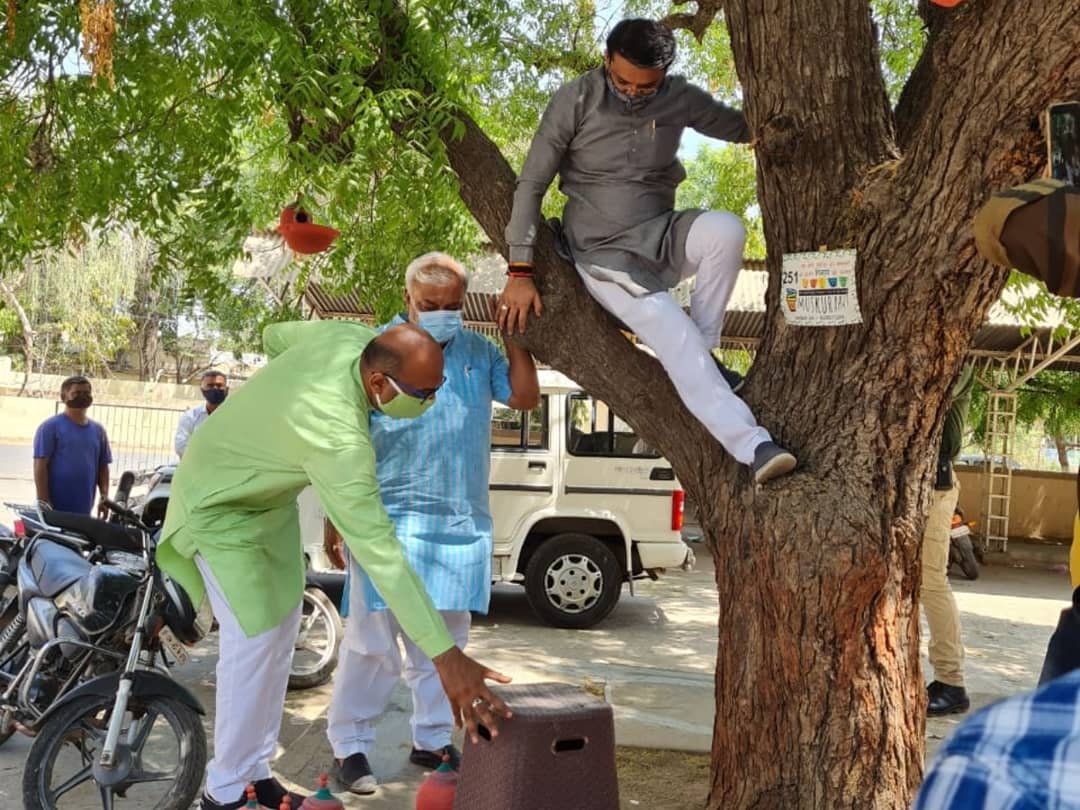 Grthackerbjp's tweet photo. કચ્છ-મોરબી ના સક્રિય યુવા સાંસદ શ્રી વિનોદભાઈ ચાવડા દ્વારા જીવદયા ના ભાગરૂપે ભળભળતા ઉનાળામાં પક્ષીઓને પાણી તેમજ ચણ માટેના કુંડા તેમની ઓફીસની બહાર વૃક્ષો પર મુકવામાં આવ્યા જેથી કરીને પક્ષીઓ તરસ્યા કે ભૂખ્યા ના રહે.
#BirdHelp
#BhujNagarPalika2021
@VinodChavdaBJP https://t.co/AoSc6PhLPI