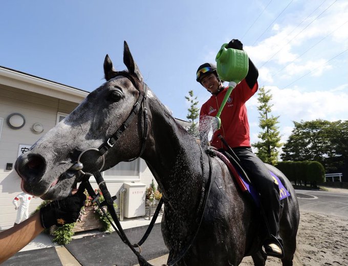 競走馬 カレンチャンのカワイイところって ウマ娘 ファンを驚かせた ボーイフレンド の発言 インサイド