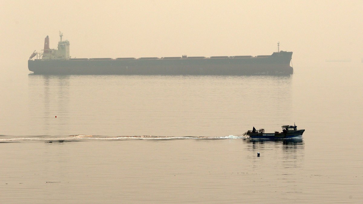 CP24 tweet media
