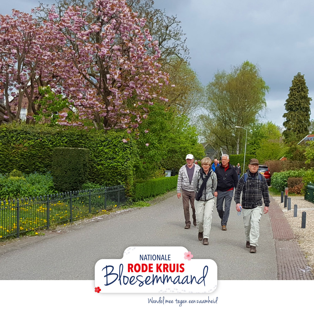 Wandelen is hartstikke gezond en kun je prima in je eigen regio doen 🥾 Let tijdens het wandelen op de regels en vergeet vooral niet de genieten van de prachtige natuur om je heen! Waar wandel jij graag? Laat het hieronder weten!
.
.
#wandelen #regio #bloesem #bloesemmaand