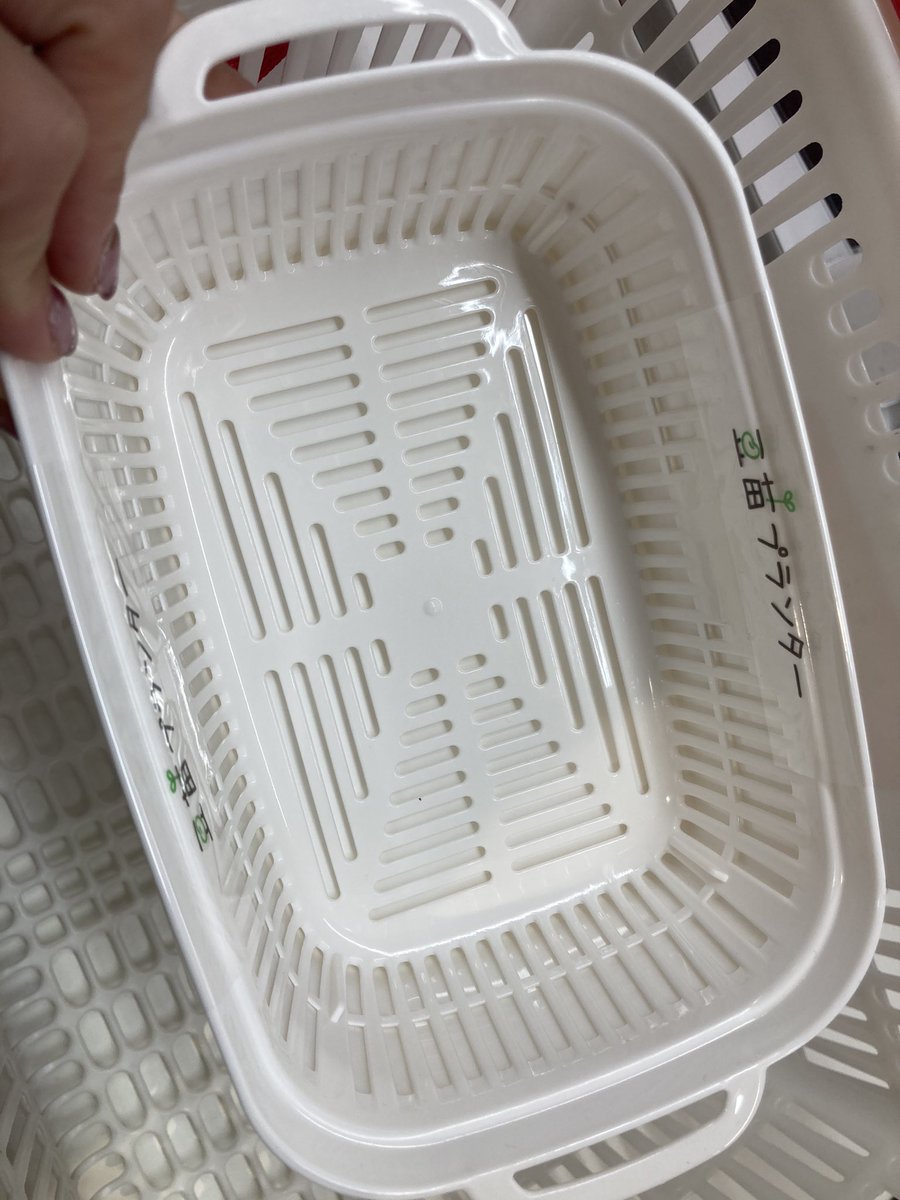 豆苗プランター 豆苗プランター