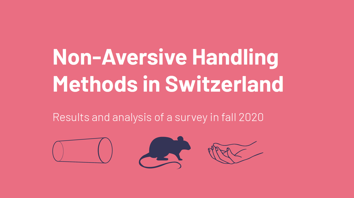 Check out our latest report on the current status and opinions about non-aversive #mouse handling approaches in #Switzerland. We detail the results from our fall 2020 survey examining awareness, preferences, rationale and opinions: swiss3rcc.org/en/report-on-n… #3Rs <a href="/CH_universities/">swissuniversities</a>