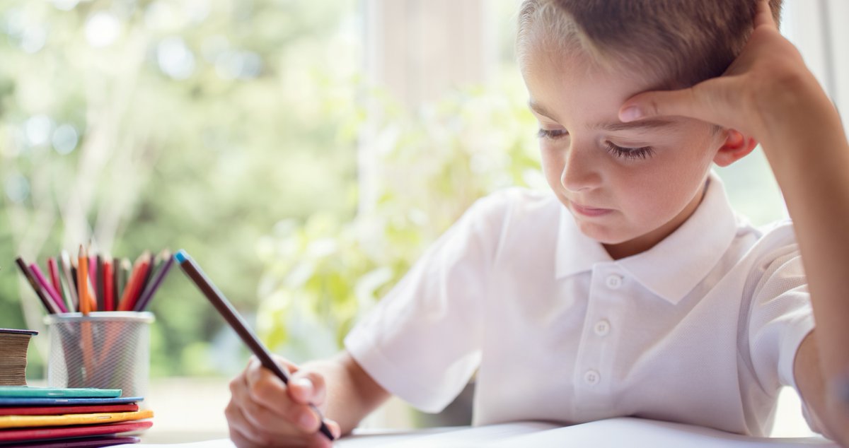 TCES National Online School tweet media