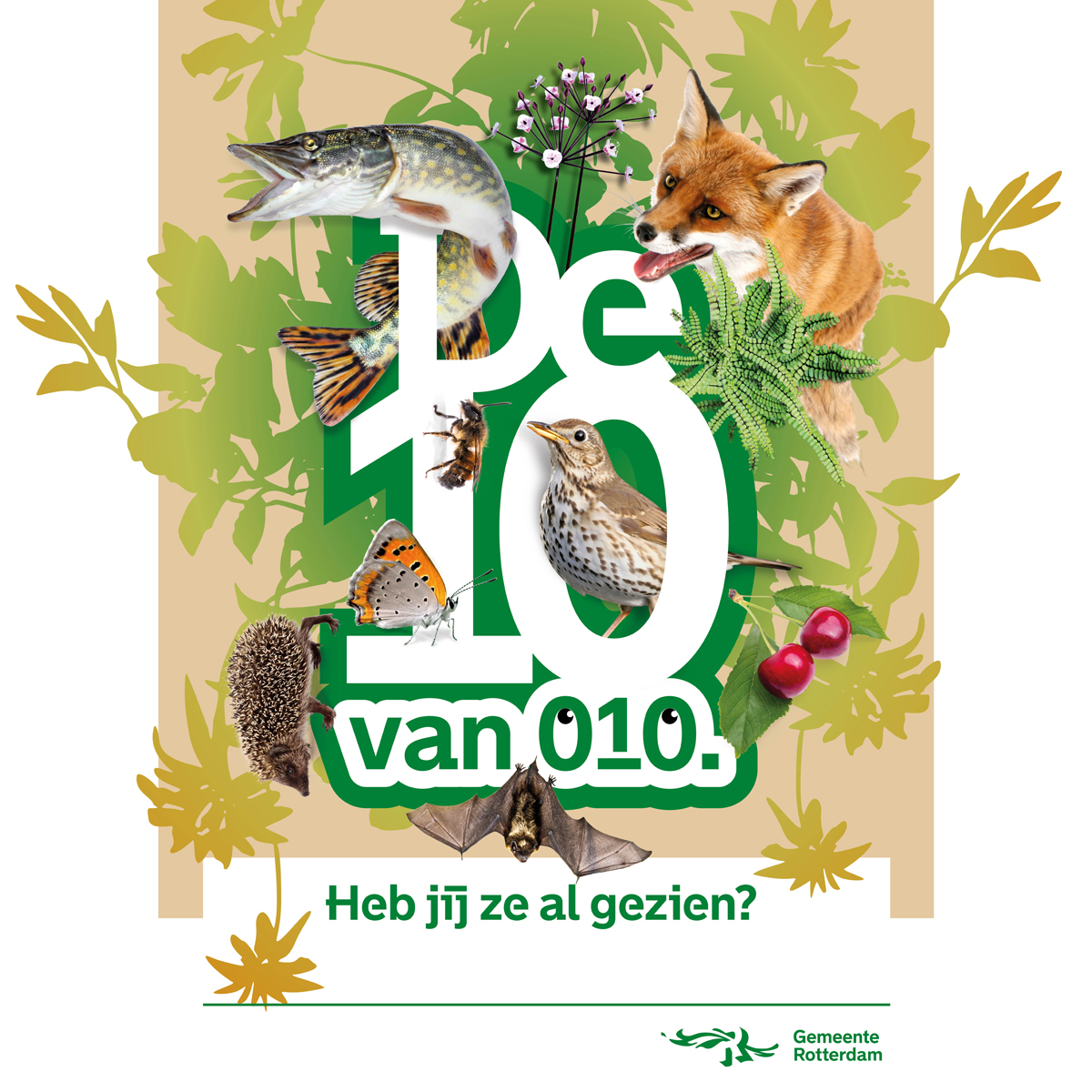 De #10van010 gaat van start! 🐝 7 dieren en 3 planten: zij staan dit jaar symbool voor de #biodiversiteit in #Rotterdam. Iedere maand stellen we een soort centraal en vertellen we wat jij kunt doen om deze icoonsoort te helpen. Meer weten? 👉  bit.ly/3dZl5Xm