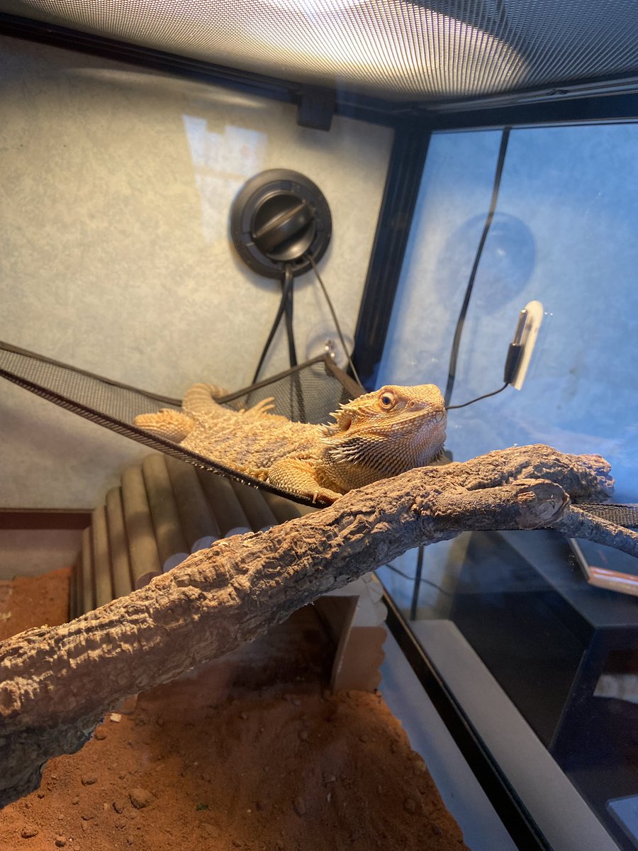 M8 Resblanc tweet media