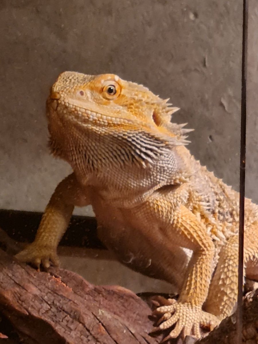 M8 Resblanc tweet media