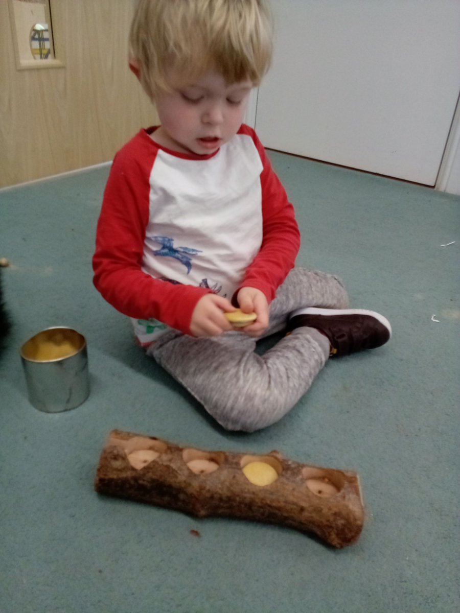LittleAngelsMar's tweet image. Loose Parts Play... 

Our little angels have been exploring the logs and stones emptying and filling the holes. Selecting the correct size stones to match the holes! A great activity to build their fine motor skills!

#StaySafe #Preschool  #Nursery #Babies #Toddler #Marcham