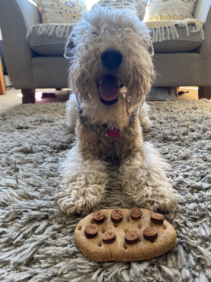 Thank you Jane for my doggy sausage treat birthday cake 🥳🎂😋@ThePetShopRipon