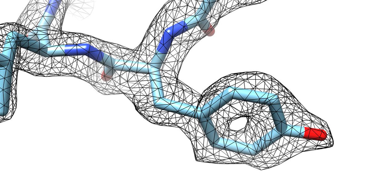 Very happy with the results of our work-flow validation run on the York Glacios! I just wish every sample was as well behaved: this is apoferritin, which we use as a test sample as it’s a little rock with high symmetry <a href="/ChemistryatYork/">Chemistry at York</a> <a href="/BiologyatYork/">Biology at York</a> <a href="/YSBL_York/">YSBL</a>