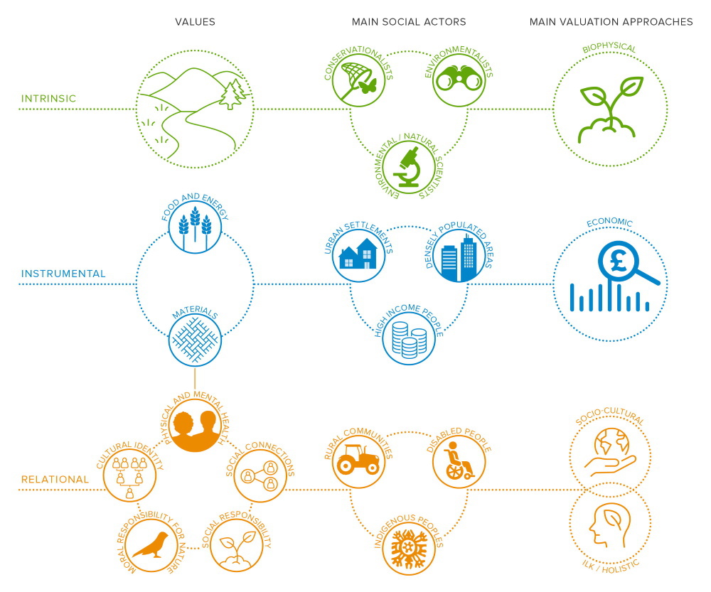 UNBiodiversity's tweet photo. "When we express why #biodiversity matters to us, three different kinds of values emerge: intrinsic, instrumental and relational values."

New article in @royalsociety calls on scientists and decision-makers to recognize the diversity of #nature's values.

https://t.co/8QWqMgSe41 https://t.co/bw4SOFUbvo