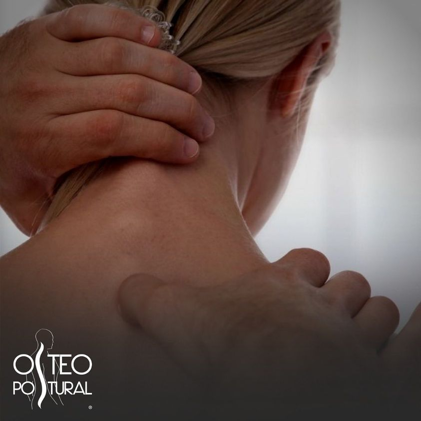 osteopostural's tweet photo. 🇮🇹 Le tecniche strutturali sono definite tali poiché ristabiliscono la mobilità della struttura ossea. 
🇬🇧 Structural techniques are defined as such because they restore the mobility of the bone structure.  #osteopostural #osteopata  #osteopatia #osteopathy https://t.co/3mFuAJHA4R