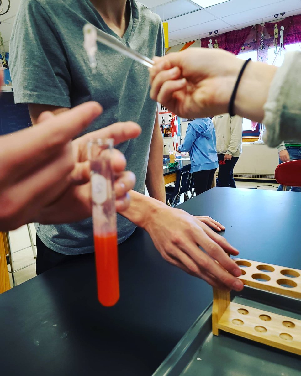 Extracting #strawberry #DNA to better understand #structure and #function 🧬🍓 #Science #biology #socool