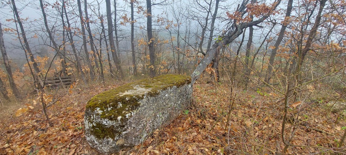 JelenaMKandic's tweet photo. Juče bio #WorldHeritageDay.
Ovo su nagrobne humke u selu #Vrnčani na planini #Orovica koje potiču iz #SrednjiVek #MedievalTimes.
Draga @SneskaEN, pisaću @europanostra da zajedno zaštitimo tumule koje su potencijalno stare 3-4000 god.🏰
Lok. #Dubac #Jančići #Kablar su blizu.🌄 https://t.co/3bFQsr4Eue