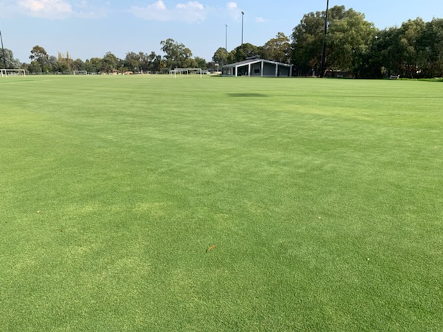 STRI_Australia's tweet photo. In April weโll see the opening of the Silcock Reserve, designed to exceed expectations, the project aimed to, maximise quality, minimize over engineering of design for a quality asset for the Maroondah City Council. Well done to SJM, lead contractor. #strigroup #striaus https://t.co/n9BjSqdGkV