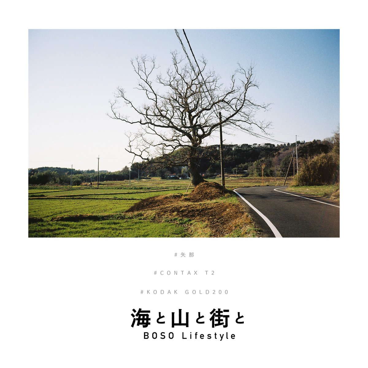 矢那 Twitter Search