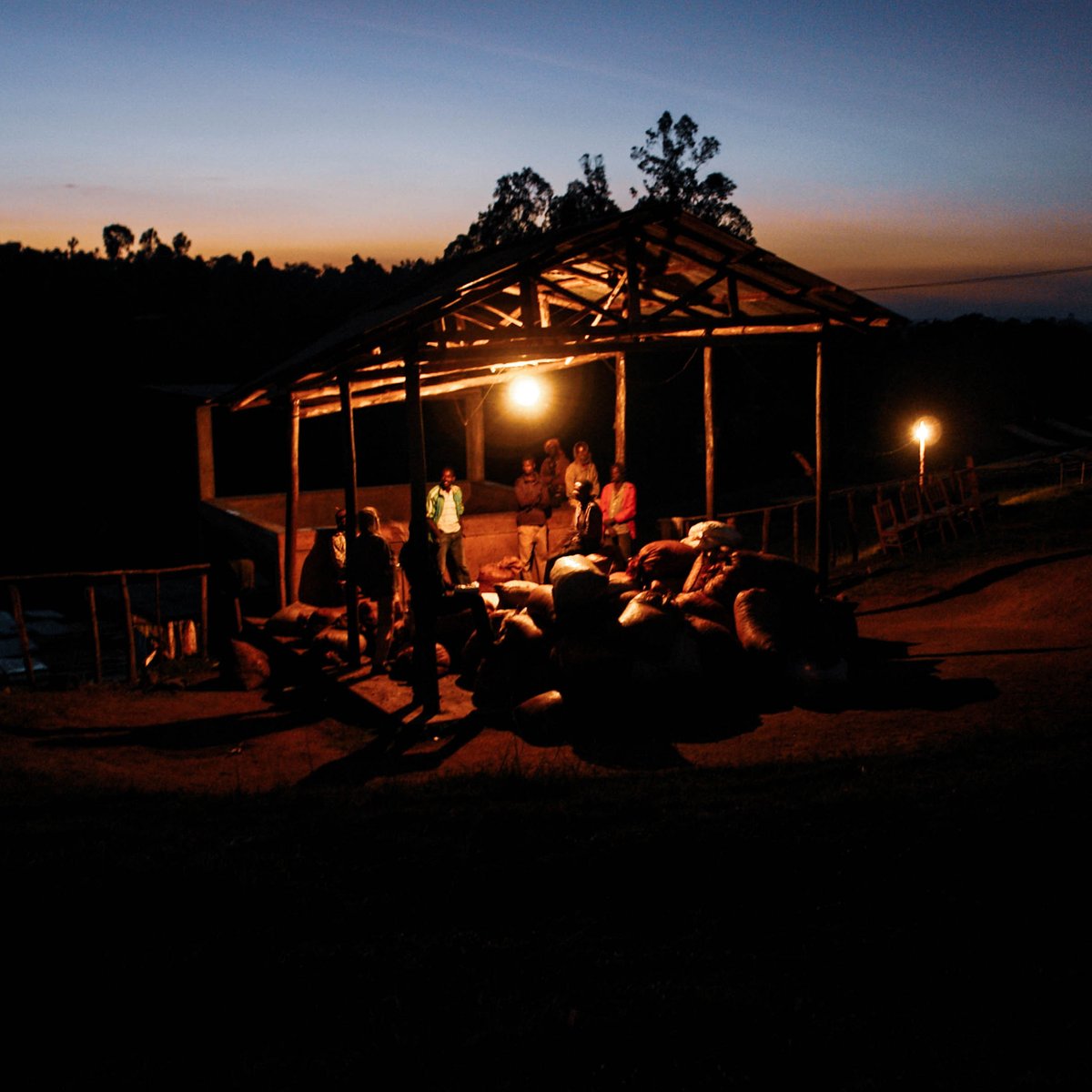 The start of a processing night shift in Gedeo.

#gedeo #yirgacheffe #coffeeprocessing #coffeecherries #ethiopiancoffee #specialtycoffee