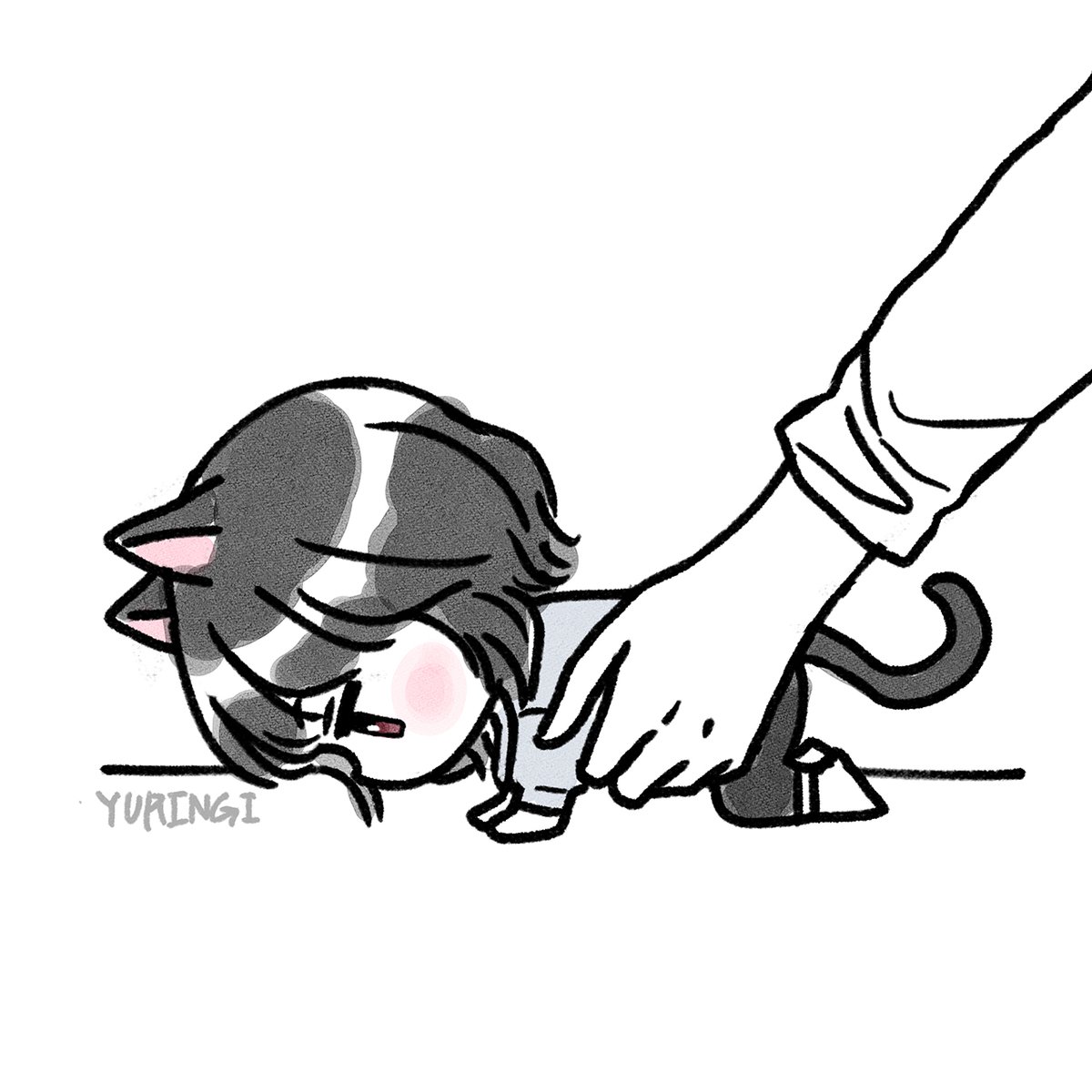 yuringi_'s tweet photo. 🐶🐱 https://t.co/UFXK13CdGz