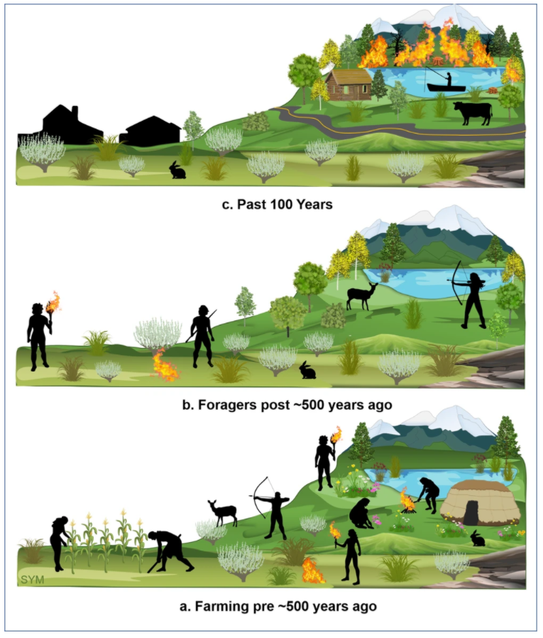 CommsEarth's tweet photo. Wildfire regimes in the Basin-Plateau Region, U.S.A. were influenced by the land use practices of Indigenous populations
@vachel_carter @UofUGeography @NHMU @yoshi_maezumi @ELD_IBED_UvA @dendrobirdie @GeographyByu @ericknrobinson @usu_anthro @USUAggies
https://t.co/YKAM3qDWpQ https://t.co/woFj0Q6rRF