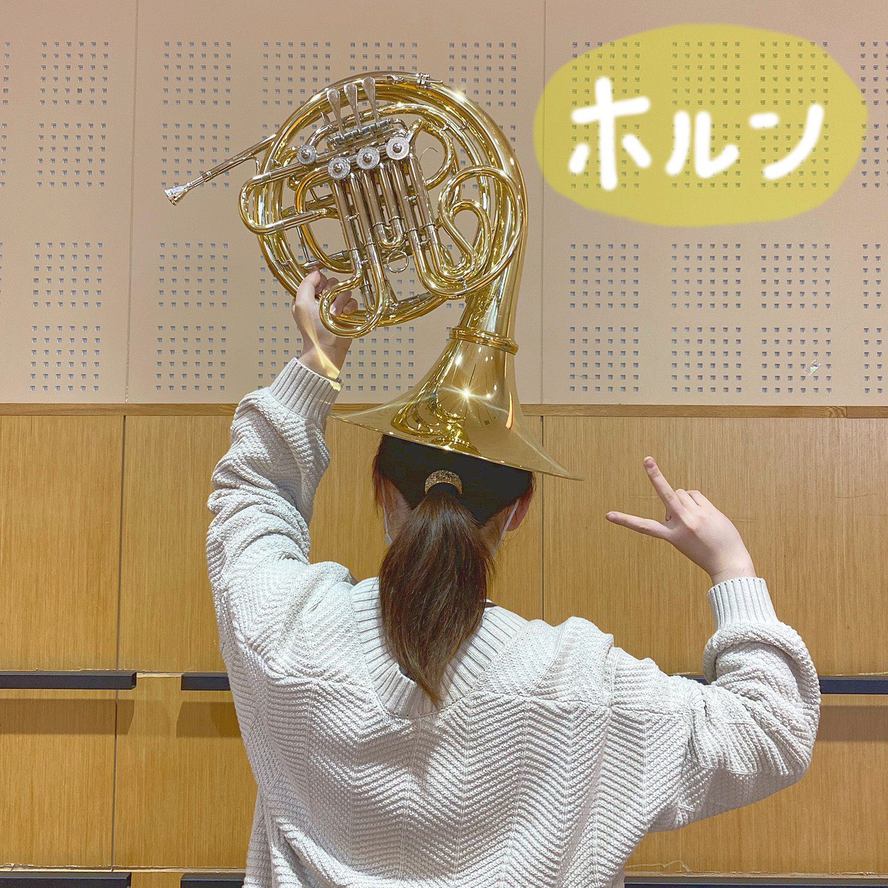 九大フィル 新歓用 九大フィル楽器紹介 ホルンはまるっと形がかわいい金管楽器です ビジュアル大優勝 金管楽器との かっこいいユニゾン 木管楽器や弦楽器との柔らかい掛け合い ソロでの甘く美しく豊かな旋律など どんな場面でも大活躍です