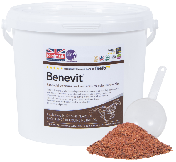 Searching for a complete multivitamin and mineral supplement?

Try Benevit® -  Supplying 25 essential vitamins and minerals, with extra linseed for added shine!

👉 feedmark.com/benevit-advanc…

#feedmark #horse #equine #supplement #vitamin #mineral
