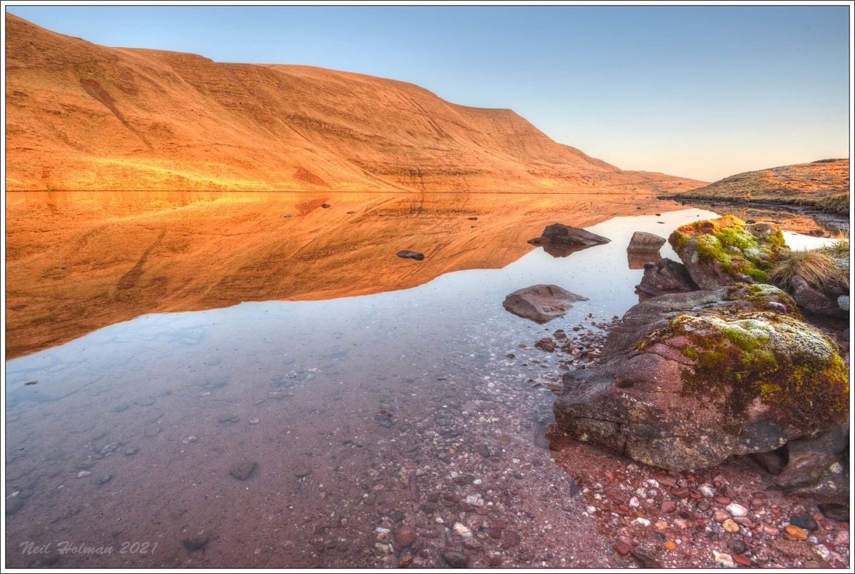 Neil Holman tweet media