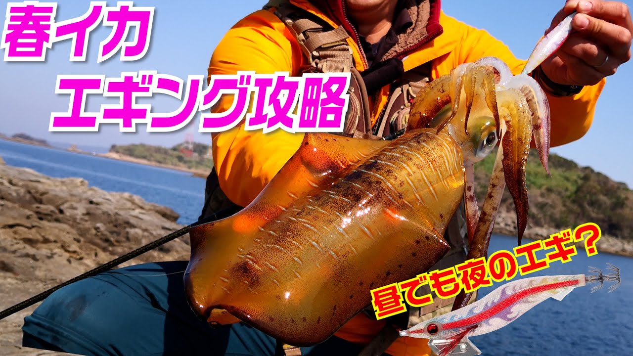 竹本保幸 早いスピードに反応することも ディープタイプは必須です カラーや速さやらを変えながら春イカエギング動画 T Co 5molcgc84f 釣り好きタケちゃんネル エギング 春エギング 春イカ キロアップ イカ釣り Yamashita エギ王