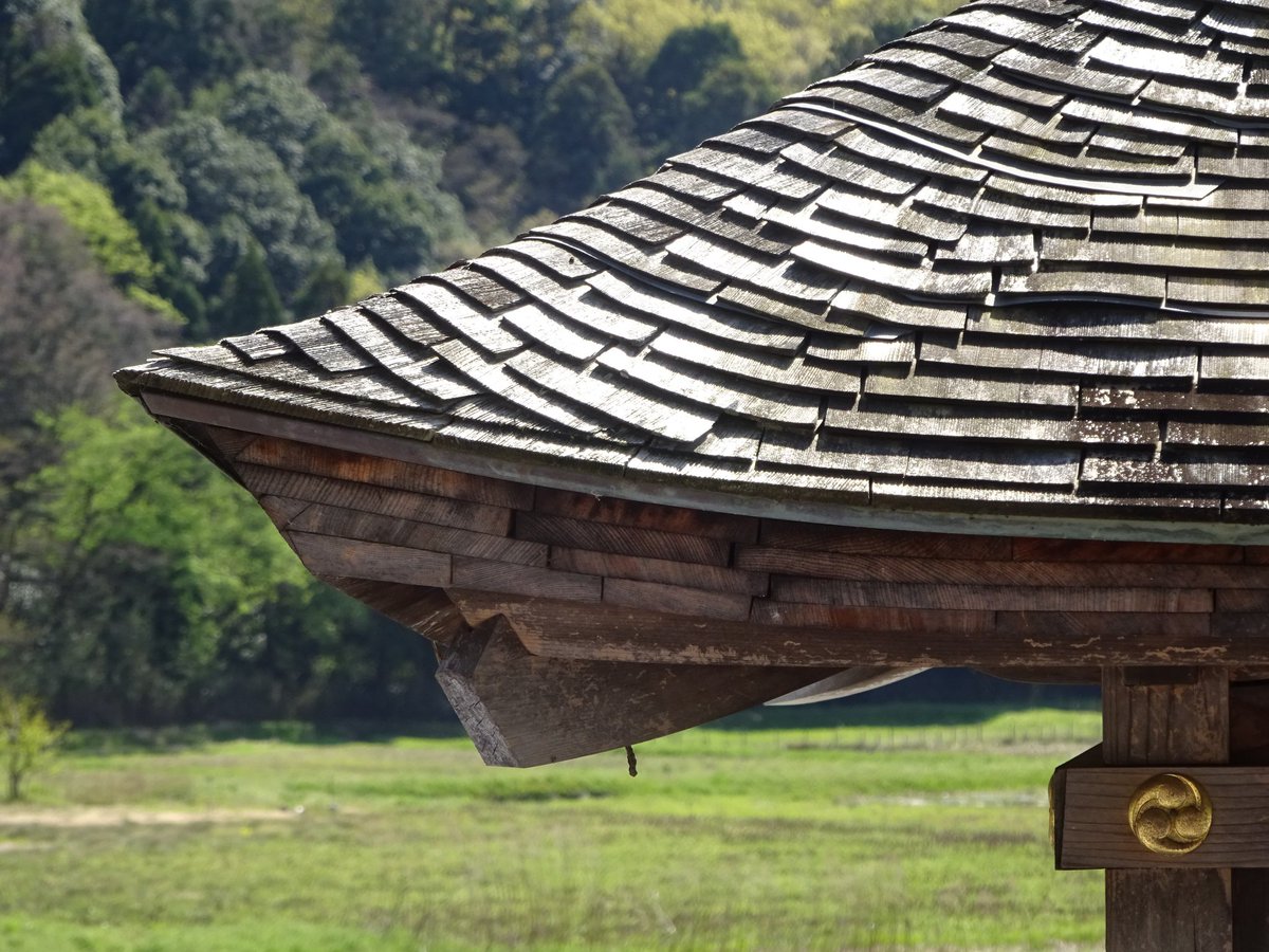 さいばば 小さいのに立派な社 桧皮葺なんすかね