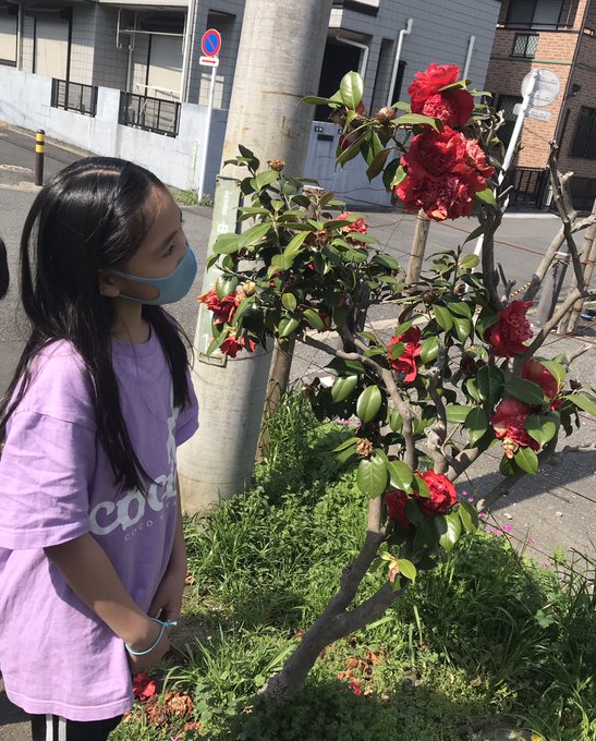 Twitterのコスプレ画像13